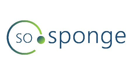 So Sponge